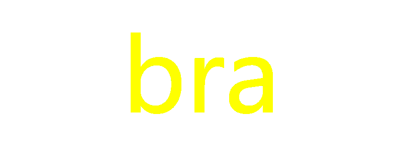 bra